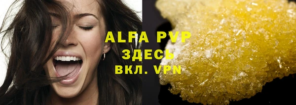 хмурый Няндома
