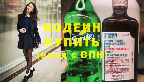 хмурый Няндома