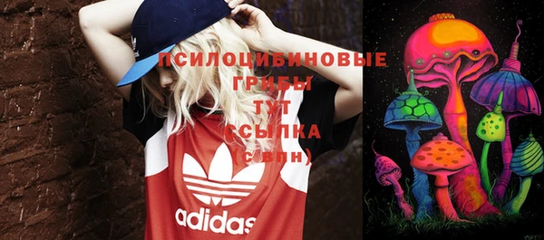 spice Нягань
