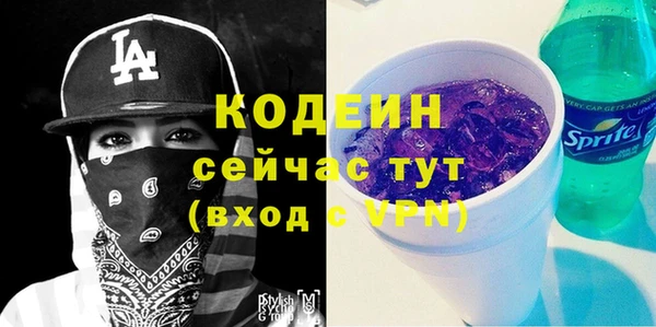 хмурый Няндома