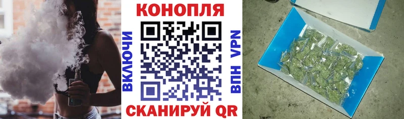 где купить наркоту  Нюрба  Конопля план 
